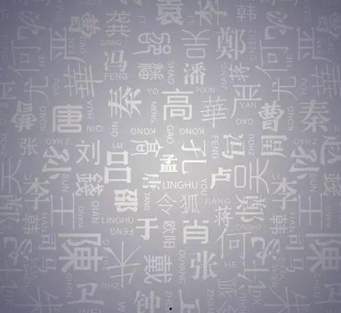 广西姓氏爆料最新消息是什么,最新家族传承揭秘，探寻广西姓氏源流与变迁