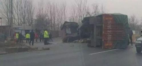 武邑爆料最新,揭秘当地新鲜事，带你领略不一样的风土人情